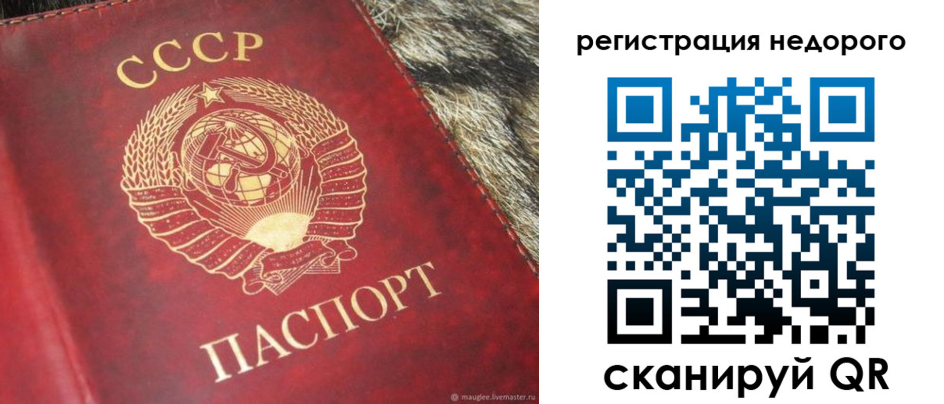 прописка ребенка в Бородино